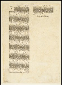 Rückseite der Apokalypse, Heiliger Michael kämpft gegen den Drachen, 1497 von Albrecht Dürer