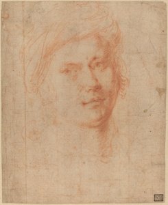 Kopf eines Jugendlichen von Alessandro Allori