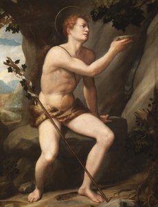 Johannes der Täufer von Alessandro Allori