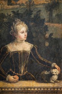 Porträt einer Adligen (Detail) von Alessandro Bonvicino Moretto
