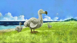 Darstellung des ausgestorbenen Dodo-Vogels (Illustration) von Alessandro Lonati