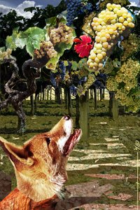 Der Fuchs und die Trauben. Illustration zur Fabel von Äsop (7.-6. Jahrhundert v. Chr.). Illustration von Alesandro Lonati. 2010