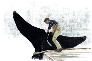 Walfängerboot schneidet den Schwanz eines Wals ab von Alessandro Lonati