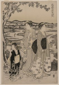 Omu der Papagei (aus der Serie Sieben elegante Episoden aus dem Leben der Dichterin Ono no Komachi)