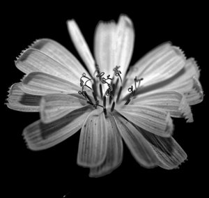 Ohne Titel