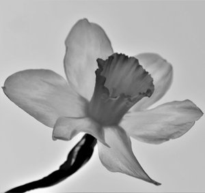 Ohne Titel, 2019 von Alex Caminker