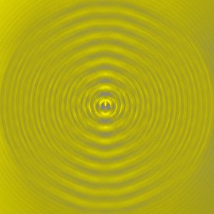 Vibrationen, 2019