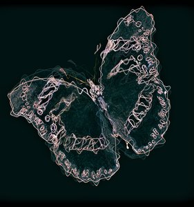 Schmetterling II, 2020 von Alex Caminker