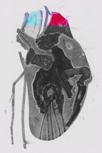 Durchschnitt von Alexander Adiels