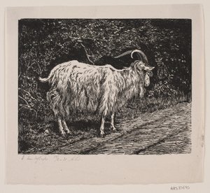 Ein Ziegenbock von Alexander Blom