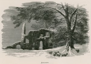 Kirkstall Abbey, Küche