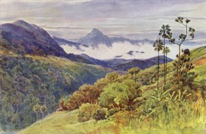 Morgennebel im Tal des Mahawelli Gangha (Farblithografie)