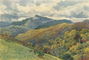 Die Berge von Pallekelly, ca. 1880 von Alexander Henry Hallam Murray