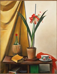 Stillleben III mit Amaryllis von Alexander Kanoldt