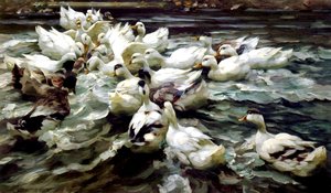 Entenversammlung von Alexander Koester