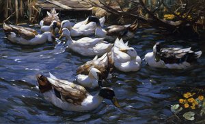 Enten im Schilf unter den Zweigen von Alexander Koester