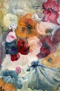 Bunte Mohnblumenblüte von Alexandra Higgins