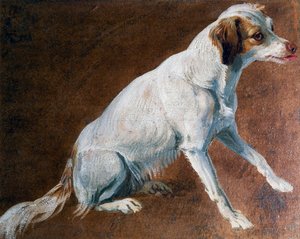 Französischer Spaniel-Vorfahre von Alexandre Francois Desportes