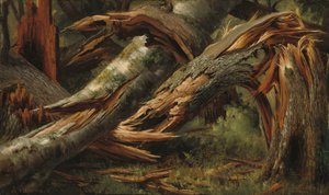 Gefallener Baum, 1839-1845