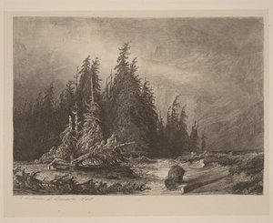 Bergkiefern von Alexandre Calame
