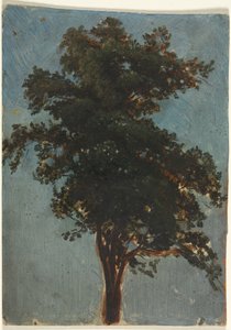 Baumstudie von Alexandre Calame
