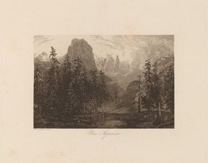 Eine Sapinière