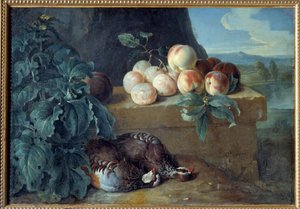 Pfirsiche und Rebhühner von Alexandre Francois Desportes