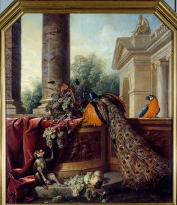 Stillleben mit Pfau, Papagei, Affe und Trauben von Alexandre Francois Desportes