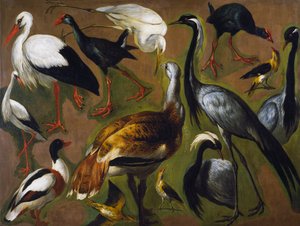 Studie von Vögeln, von Alexandre-Francois Desportes, Frankreich