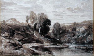 Der Reiher
