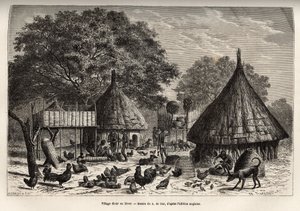 Dorf Diour im Winter (Sudan) und tägliche Aktivitäten der Bewohner inmitten von Tieren, die von der Gemeinschaft aufgezogen werden, Gravur nach der Zeichnung von A. de Bar, zur Illustration der Reise ins Herz Afrikas 1868-1871, von Dr. Georges Schweinfurt. von Alexandre de (after) Bar