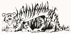 Faktenfinder: Warum sind Tiger gestreift? von Alf Saporito