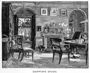 Darwins Arbeitszimmer aus Charles Darwin, sein Leben und Werk, veröffentlicht 1891