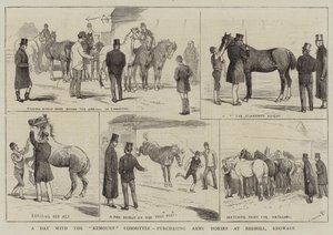 Ein Tag mit dem Remount-Komitee, Armeepferde in Redhill, Edgware kaufen von Alfred Chantrey Corbould