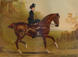 Auf dem Weg zur Deckung - Ein Porträt von Alfred Chantrey Corbould