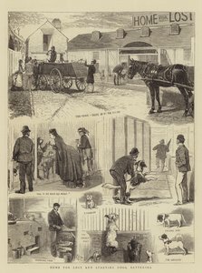 Heim für verlorene und hungernde Hunde, Battersea von Alfred Chantrey Corbould