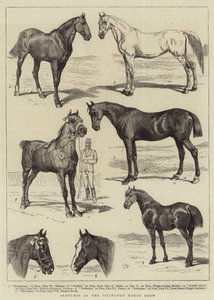 Skizzen auf der Islington-Pferdeschau von Alfred Chantrey Corbould