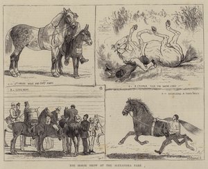 Die Pferdeschau im Alexandra Park von Alfred Chantrey Corbould