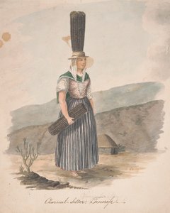 Kohlenhändler, Teneriffa