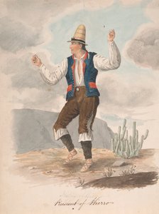 Bauer von Hierro