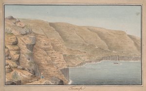 Ansicht von La Rambla de Castro nahe Port Orotava, Teneriffa von Alfred Diston