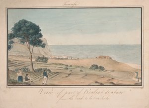 Blick auf einen Teil von Realesco de abasco von der Straße nach la Cruz Santa
