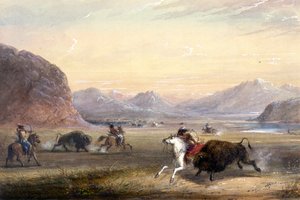 Büffeljagd nahe Independence Rock von Alfred Jacob Miller
