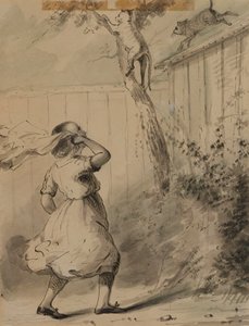 Carrie und die Katzen