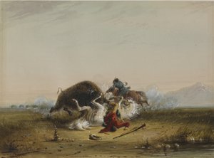 Pierre und der Bison von Alfred Jacob Miller