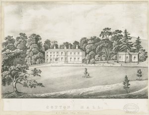 Cotton - Hall von Alfred Jolly Caldicott