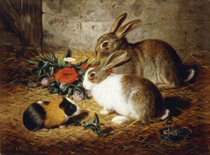 Entkommen: Zwei Kaninchen und ein Meerschweinchen