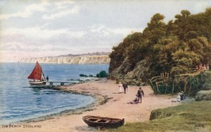 Der Strand, Studland von Alfred Robert Quinton