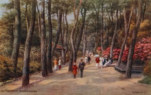Der Pinienweg, Bournemouth von Alfred Robert Quinton