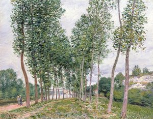 Die Pappelallee entlang der Ufer des Loing von Alfred Sisley